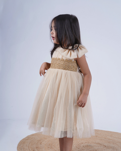 Faye Champagne Lace Boatneck Dress for little girls