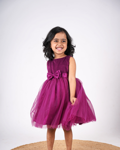 Faye Wine Velvet Dress
