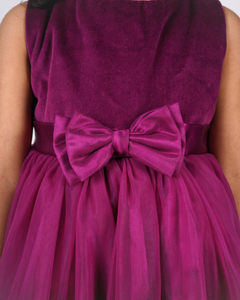 Faye Wine Velvet Dress
