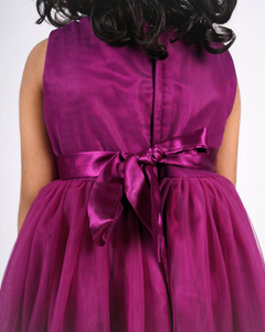 Faye Wine Velvet Dress
