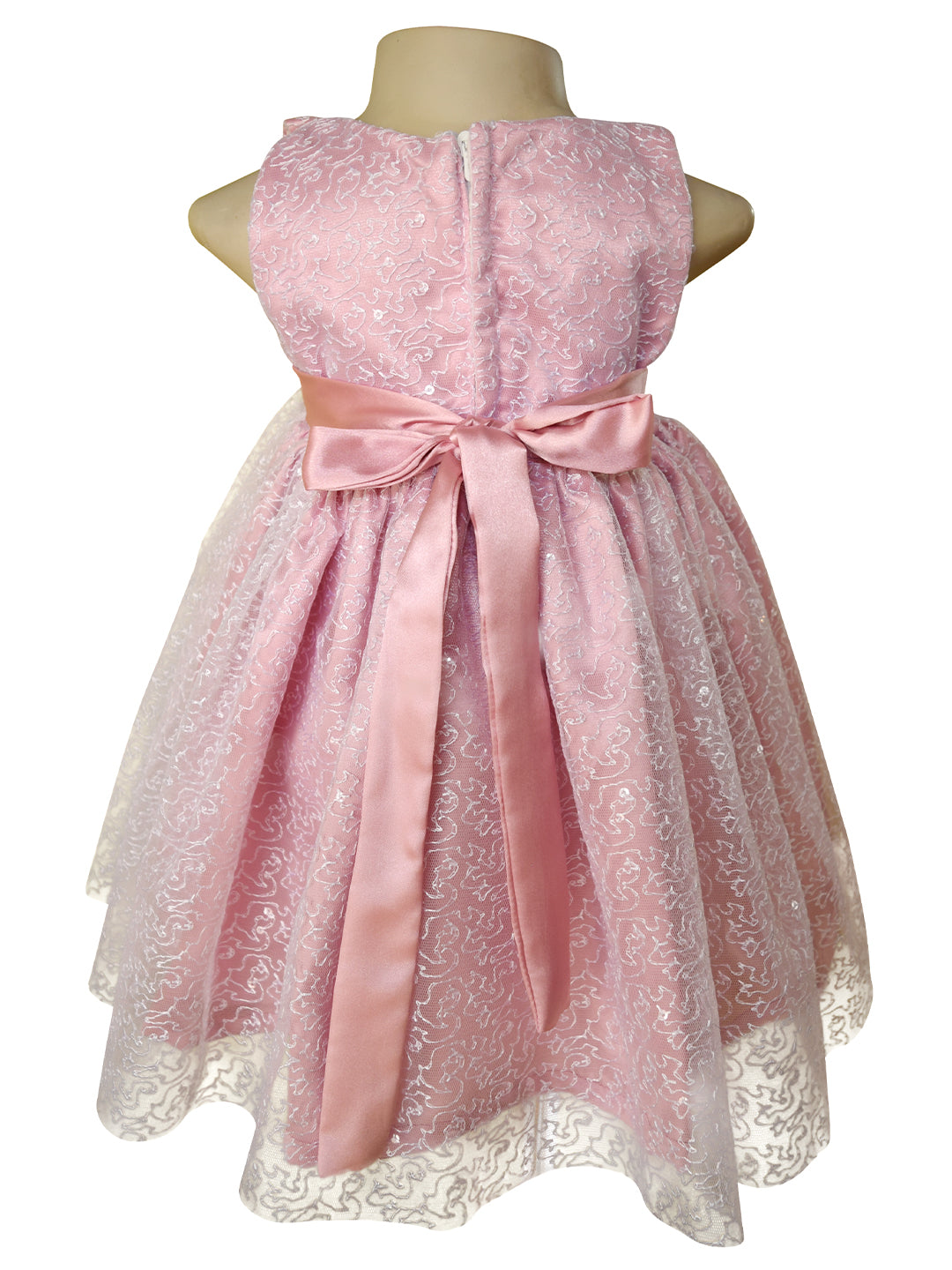 Back view of Faye Blush Pink Embroidered Dress