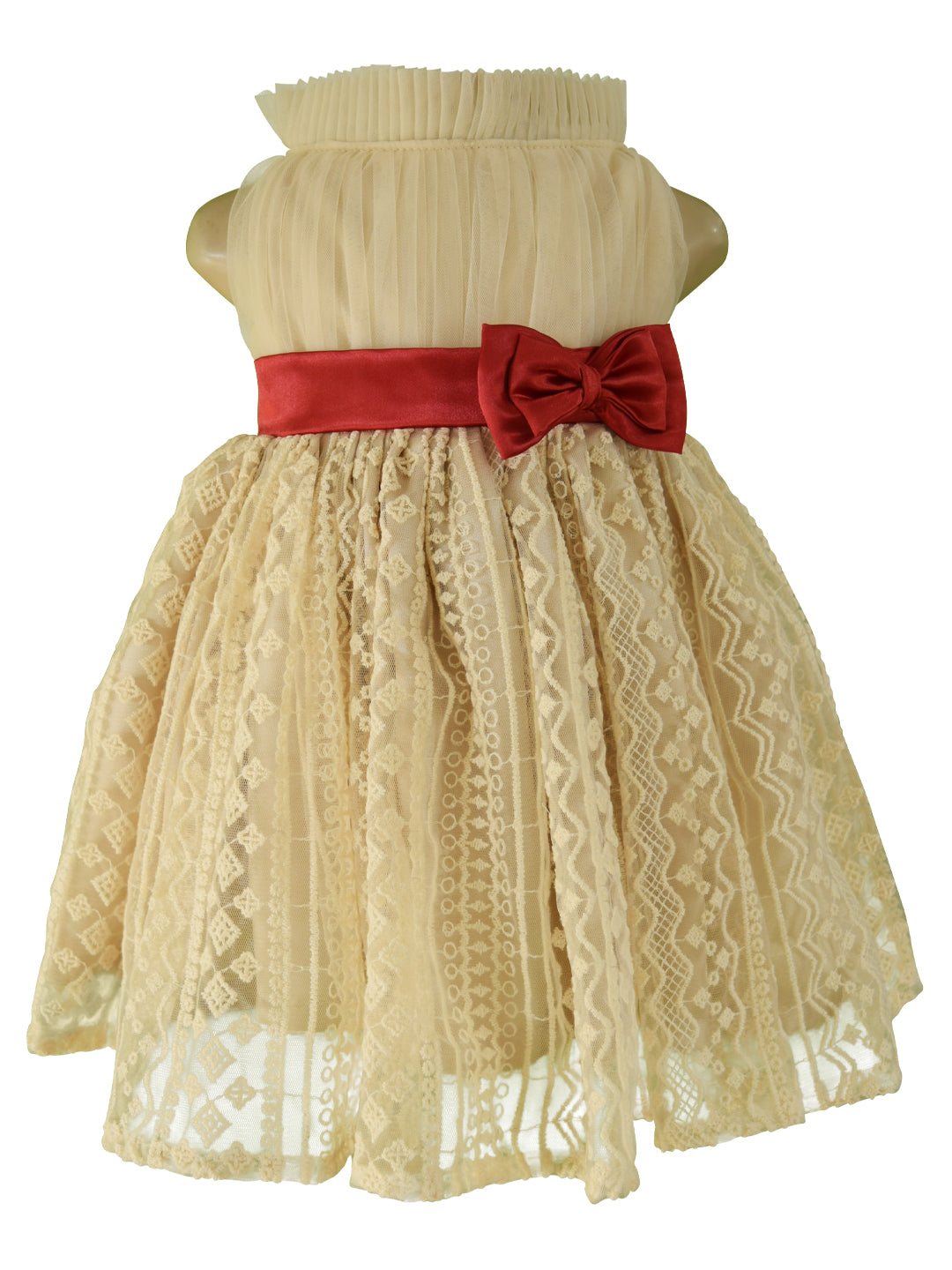 Faye Champagne Embroidered Dress for girls