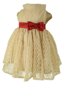 Faye Champagne Dress for baby girls