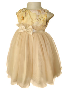 Kids dress in Gold with Embroidered bodice and net skirt 