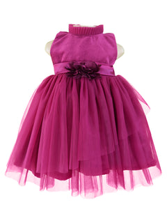 Party Dress_Faye Plum Velvet Asymmetric Dress