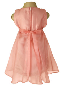Blush pink Embroidered Tissue Dress