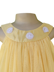 Baby Dress_Faye Gold Net Swing Dress